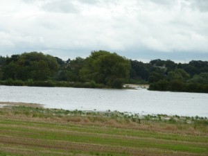 Flooded fields