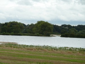 p1030321 Flooded fields