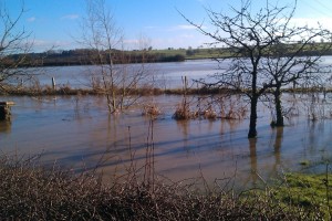 cherwell-flood