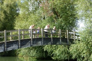 pooh-sticks