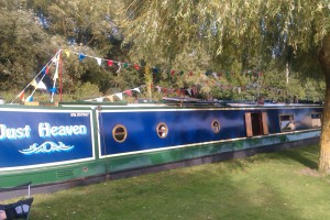 Our mooring under the trees
